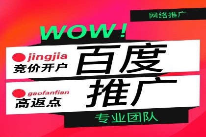 SEM代理的优化策略及成功案例
